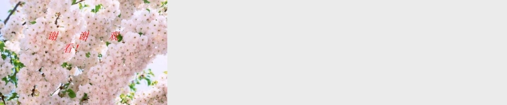 七年级生物致同学们1课件