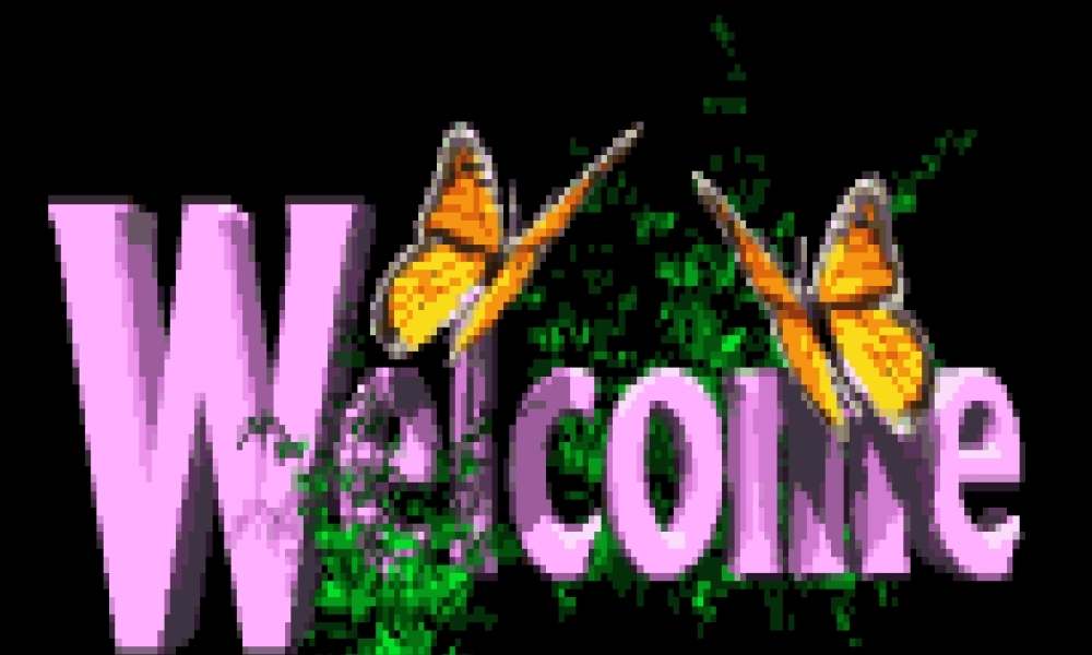 八年级英语上册 Module 9 Unit 1精品课件 外研版(小学起点)