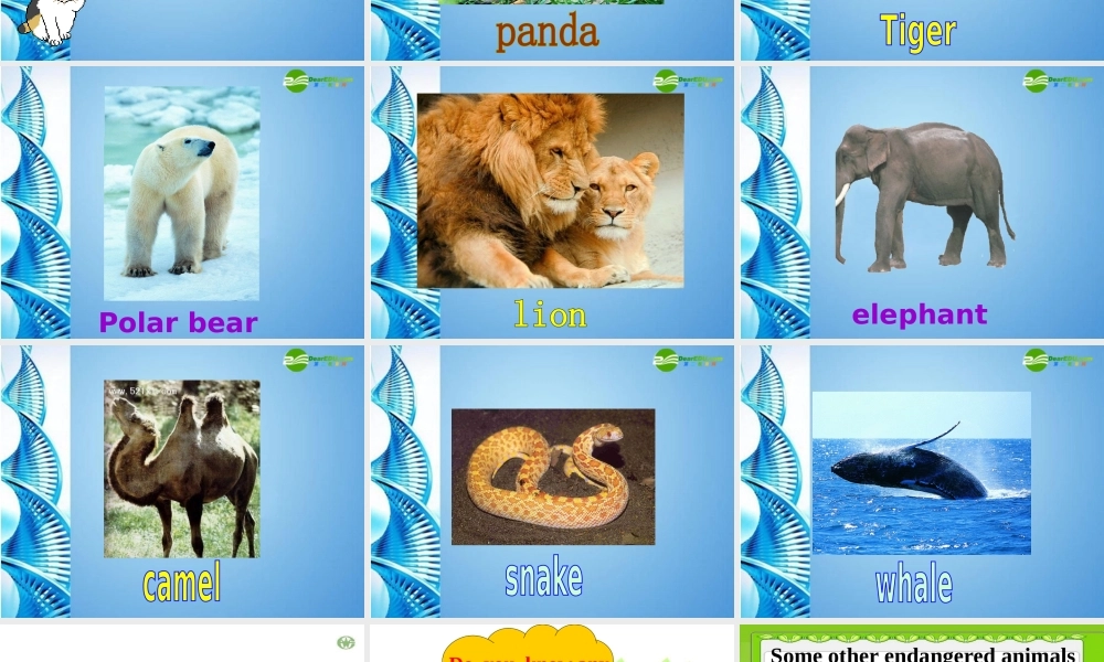 八年级英语上册 Module 9 Unit 1精品课件 外研版(小学起点)