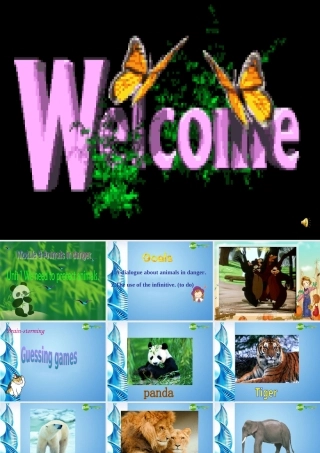 八年级英语上册 Module 9 Unit 1精品课件 外研版(小学起点)