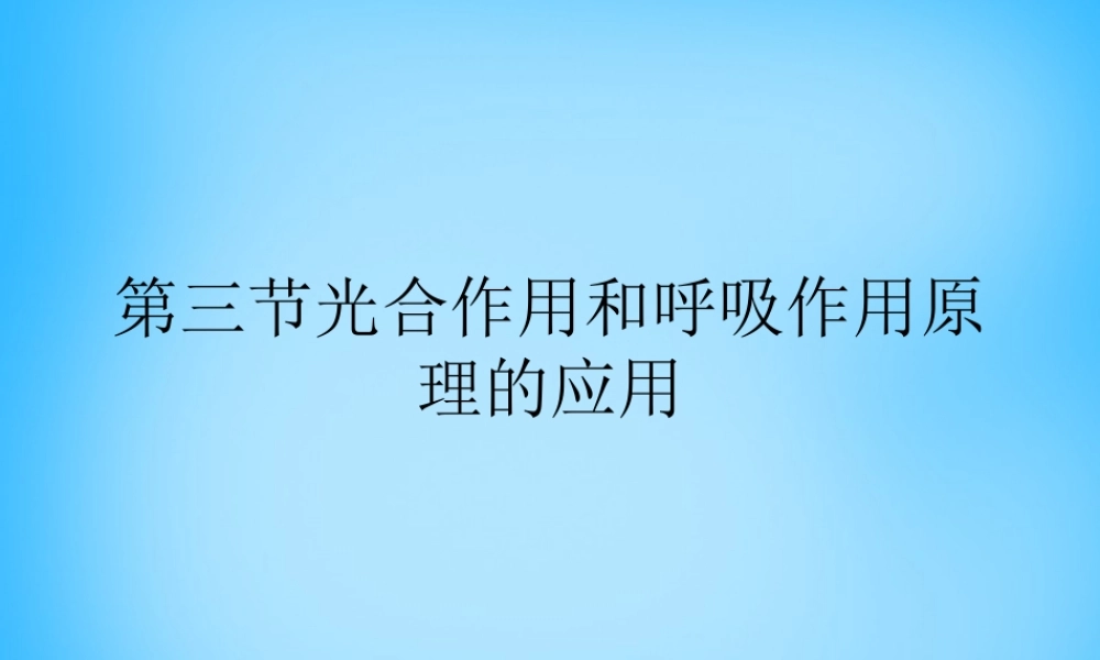 中学七年级生物上册 第6章 第5节 光合作用和呼吸作用原理的应用课件 苏教版 课件
