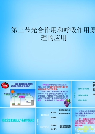 中学七年级生物上册 第6章 第5节 光合作用和呼吸作用原理的应用课件 苏教版 课件