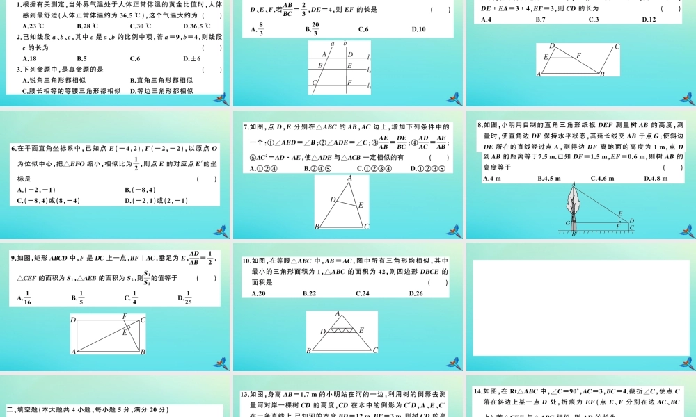 九年级数学上册 第22章 相似形检测卷作业课件 (新版)沪科版 课件