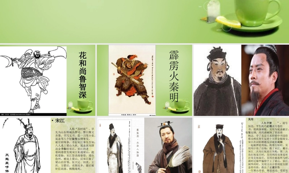 八年级语文下册 名著阅读 水浒传课件 苏教版 课件