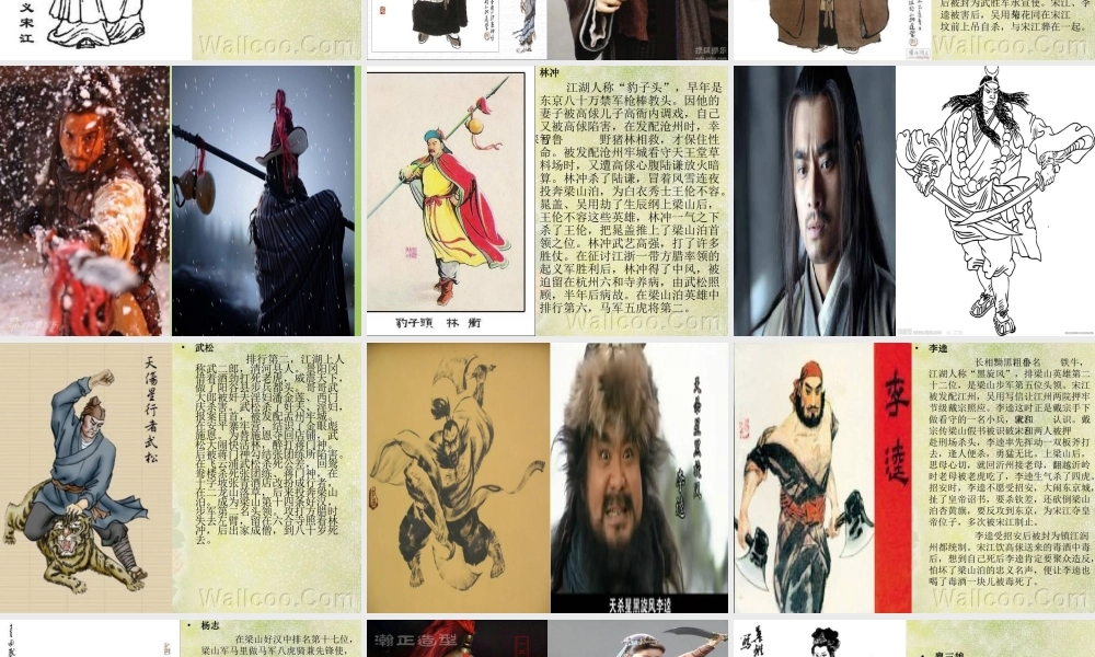 八年级语文下册 名著阅读 水浒传课件 苏教版 课件