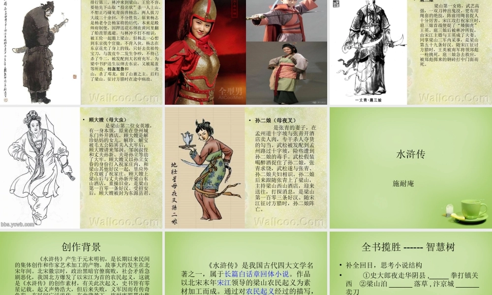 八年级语文下册 名著阅读 水浒传课件 苏教版 课件