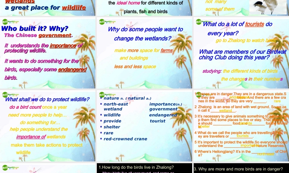 八年级英语上册  Unit 5 Reading 课件 牛津版 课件