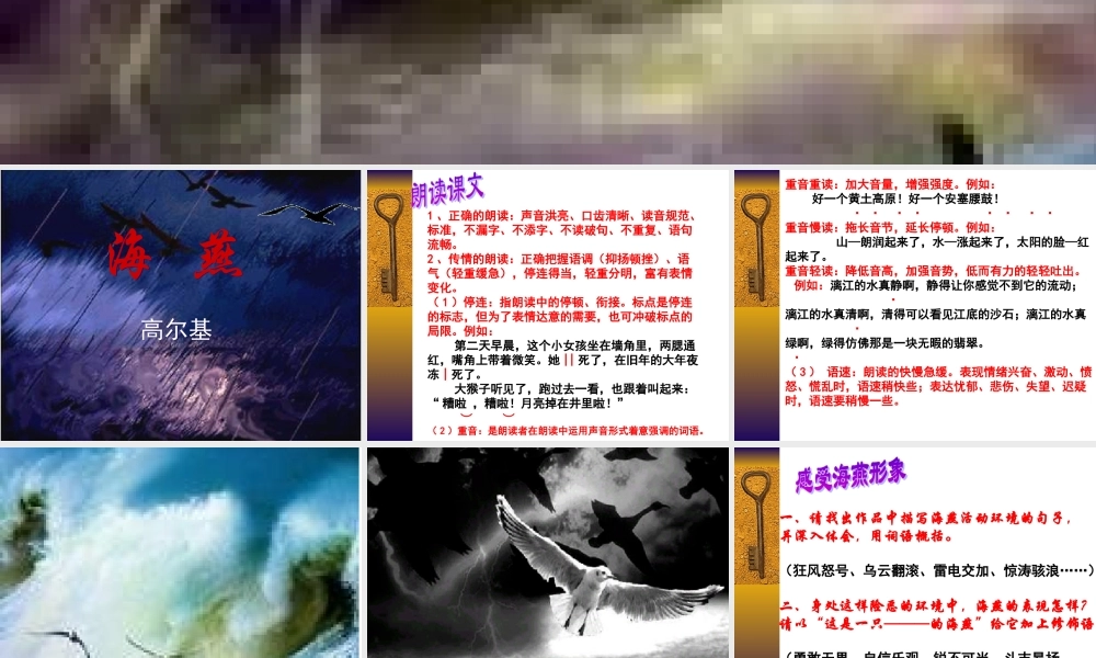八年级语文上册(海燕)课件 ppt 课件