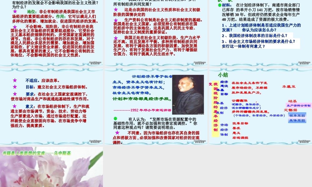 我国现阶段的基本经济制度 人教版 课件