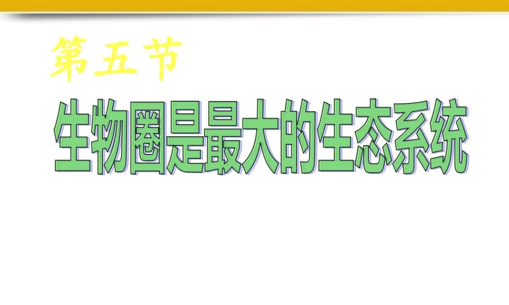 八年级生物上册 生物圈是最大的生态系统课件 人教新课标版 课件