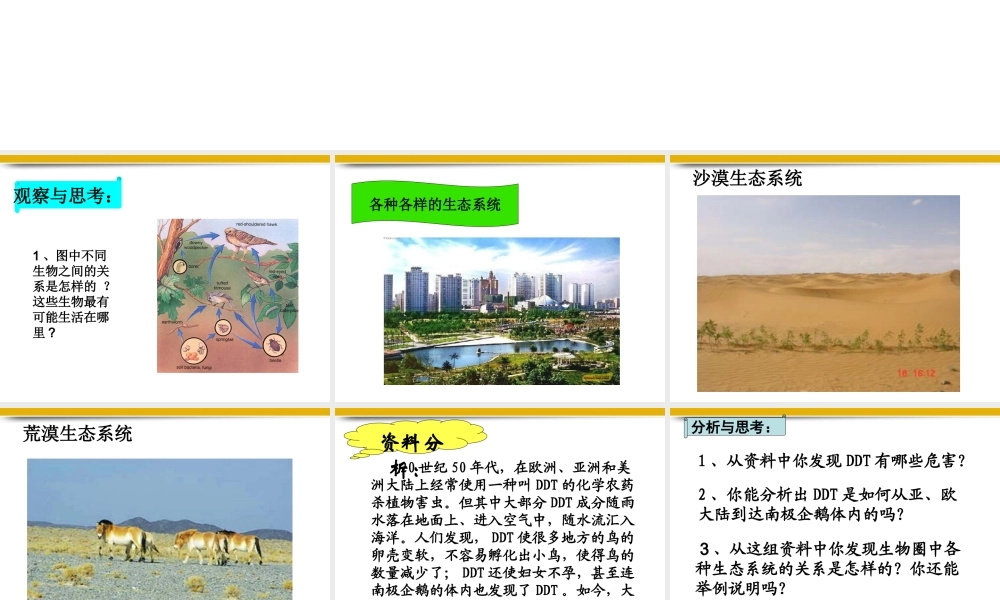 八年级生物上册 生物圈是最大的生态系统课件 人教新课标版 课件