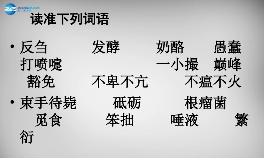 八年级语文下册 3 细菌的启示课件3 (新版)北师大版 课件