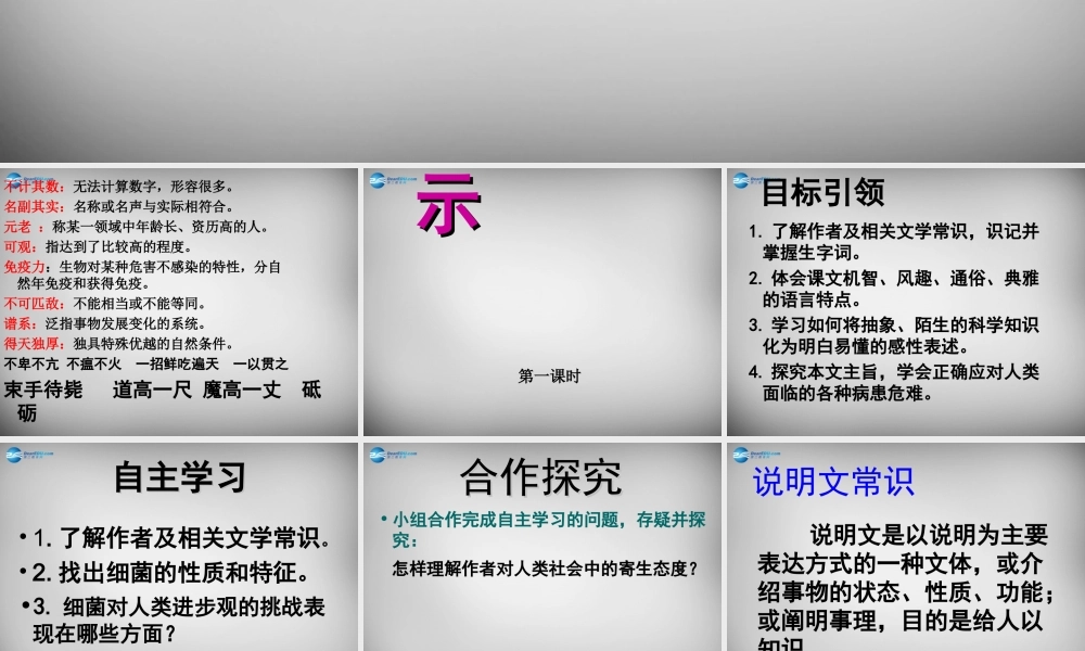 八年级语文下册 3 细菌的启示课件3 (新版)北师大版 课件