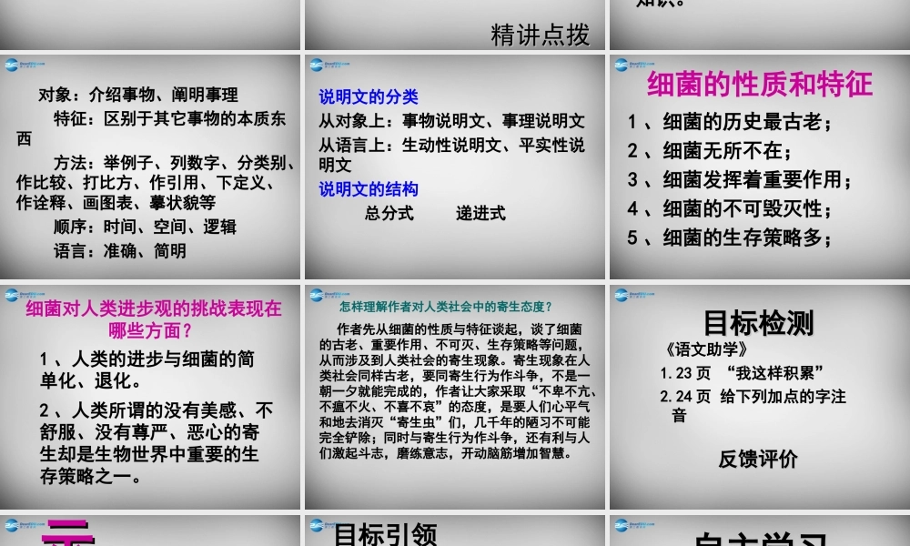 八年级语文下册 3 细菌的启示课件3 (新版)北师大版 课件