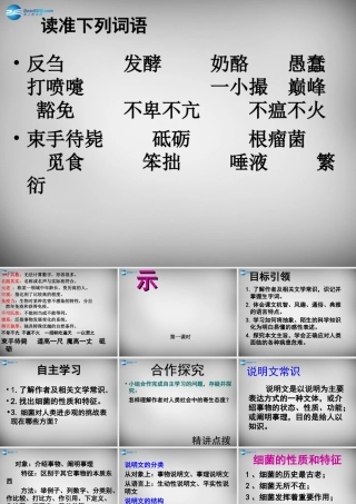 八年级语文下册 3 细菌的启示课件3 (新版)北师大版 课件