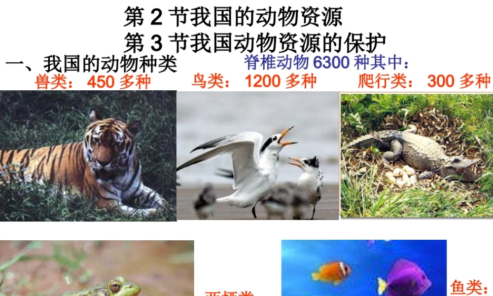 八年级生物 我国动物资源及保护 ppt 课件