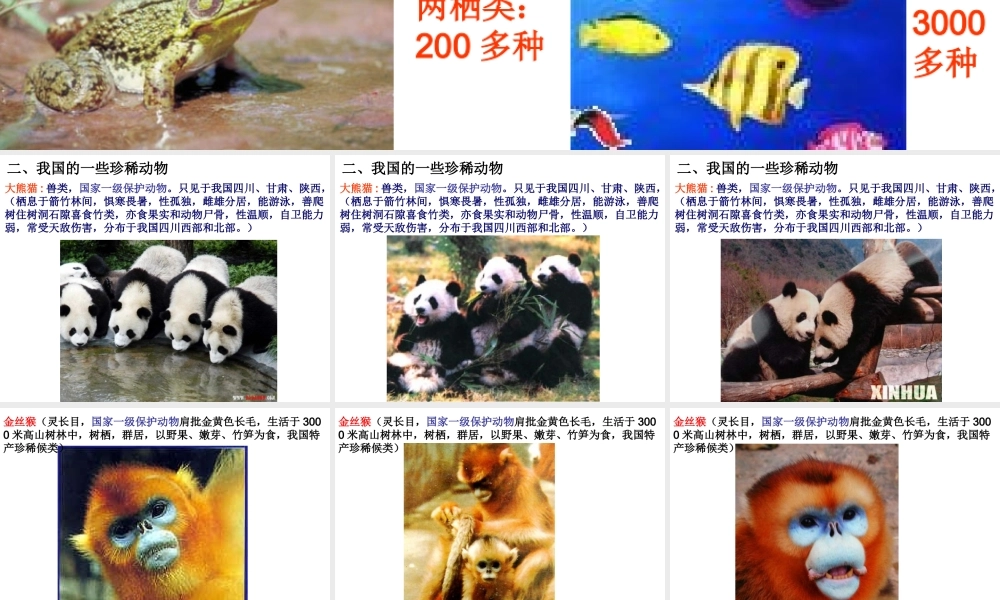 八年级生物 我国动物资源及保护 ppt 课件