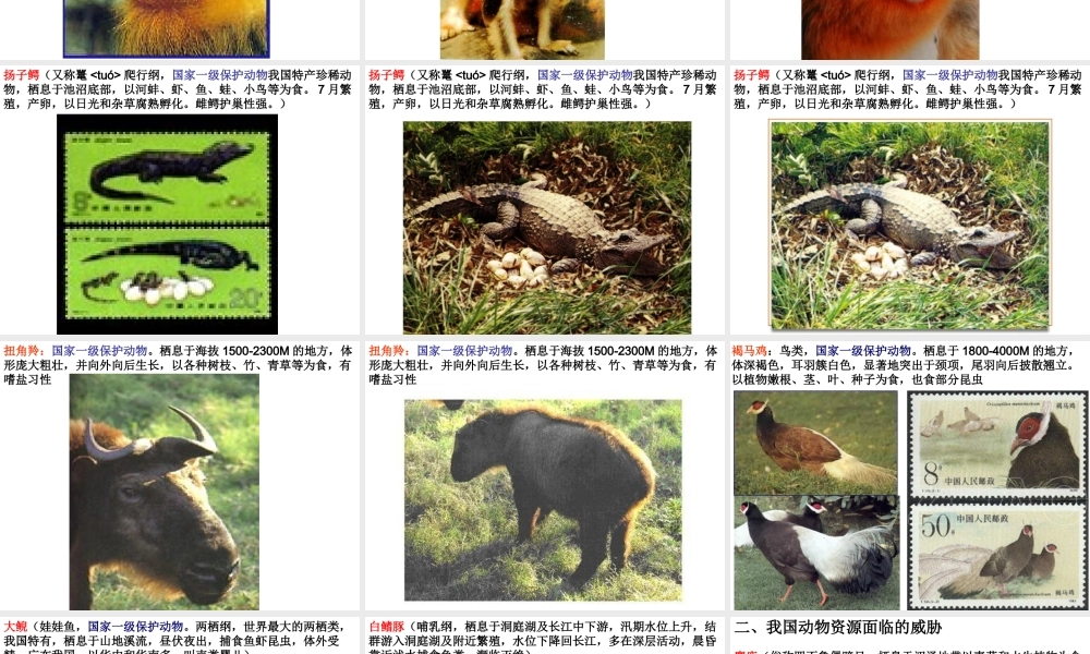 八年级生物 我国动物资源及保护 ppt 课件