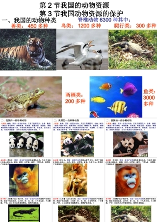 八年级生物 我国动物资源及保护 ppt 课件