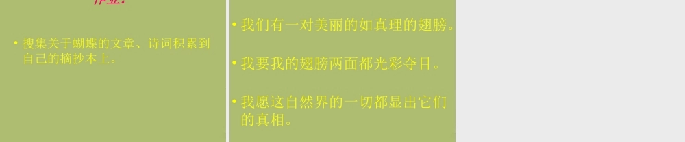 中学七年级语文上册 24 枯叶蝴蝶课件 鲁教版五四制 课件