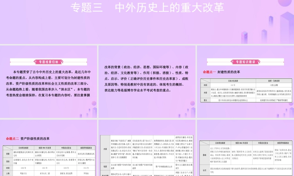 中考历史复习 专题三 中外历史上的重大改革课件