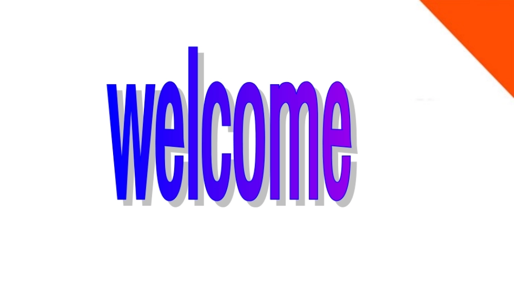 七年级语文上册 (蛛网)课件 浙教版 课件