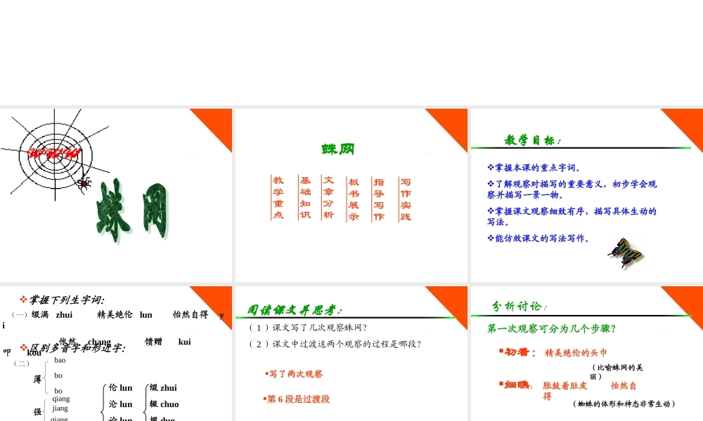七年级语文上册 (蛛网)课件 浙教版 课件