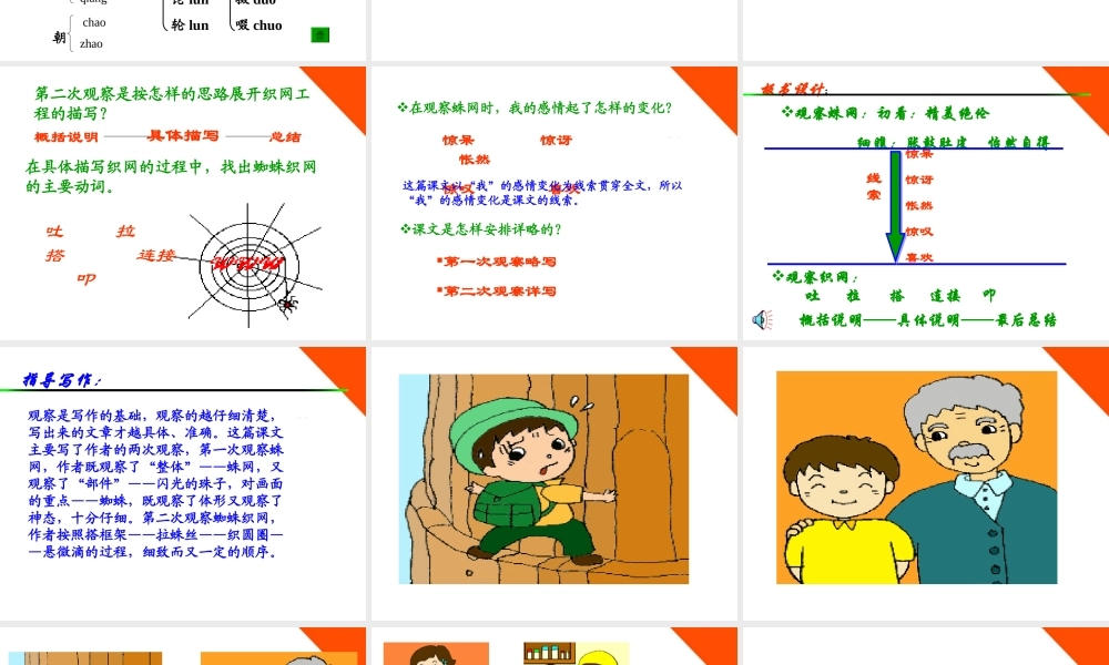 七年级语文上册 (蛛网)课件 浙教版 课件