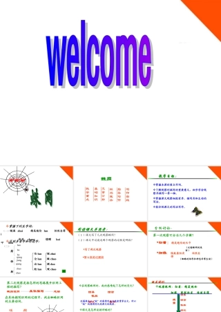 七年级语文上册 (蛛网)课件 浙教版 课件