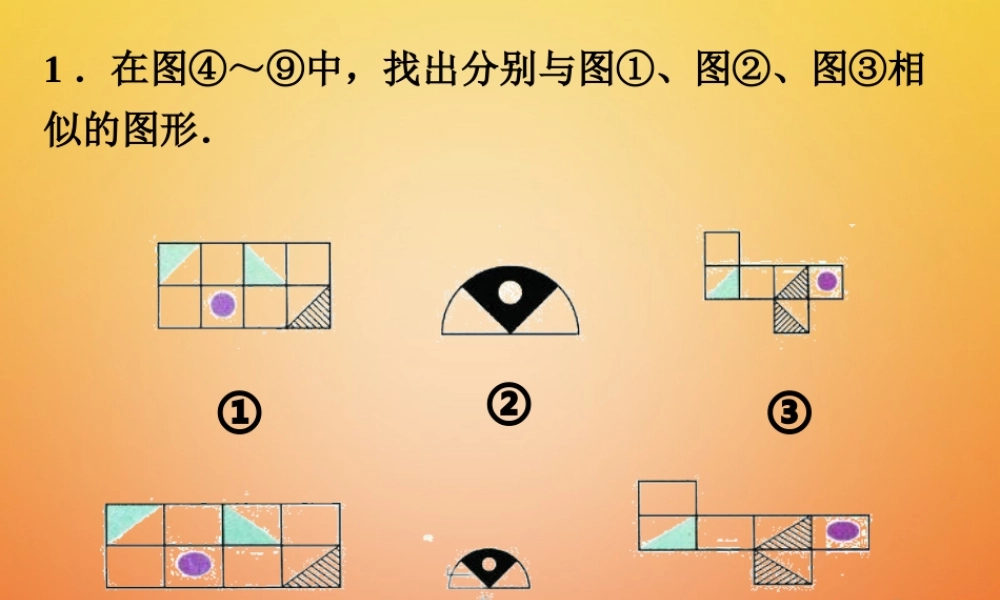 九年级数学下册 63 相似图形练习素材 (新版)苏科版 素材