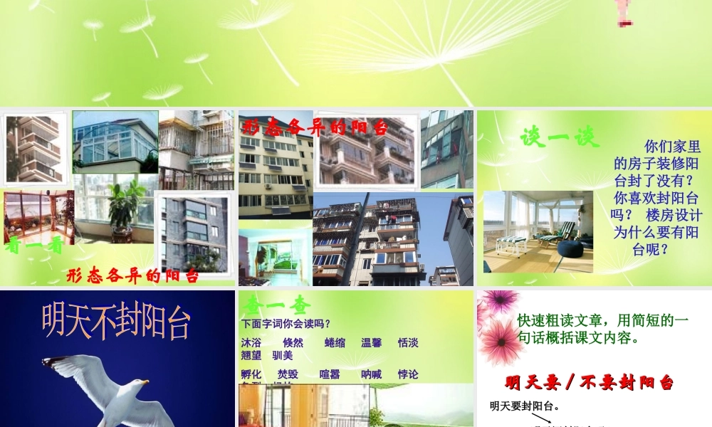 八年级语文上册 第五单元 24(明天不封阳台)课件 (新版)苏教版 课件