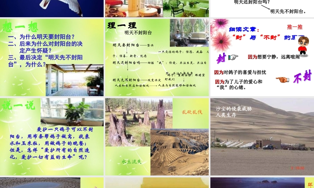 八年级语文上册 第五单元 24(明天不封阳台)课件 (新版)苏教版 课件