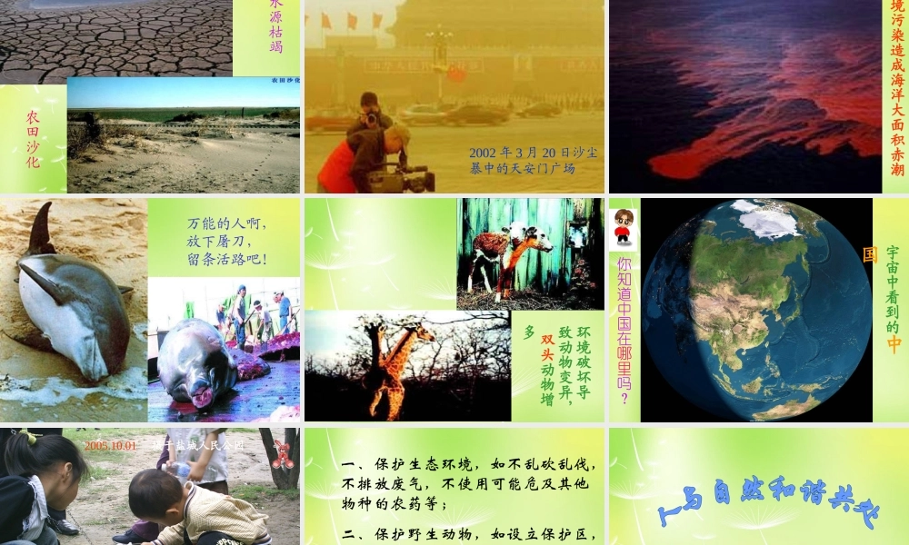 八年级语文上册 第五单元 24(明天不封阳台)课件 (新版)苏教版 课件