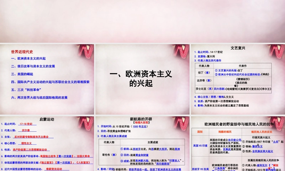 中考历史专题复习 世界近现代史课件 新人教版 课件