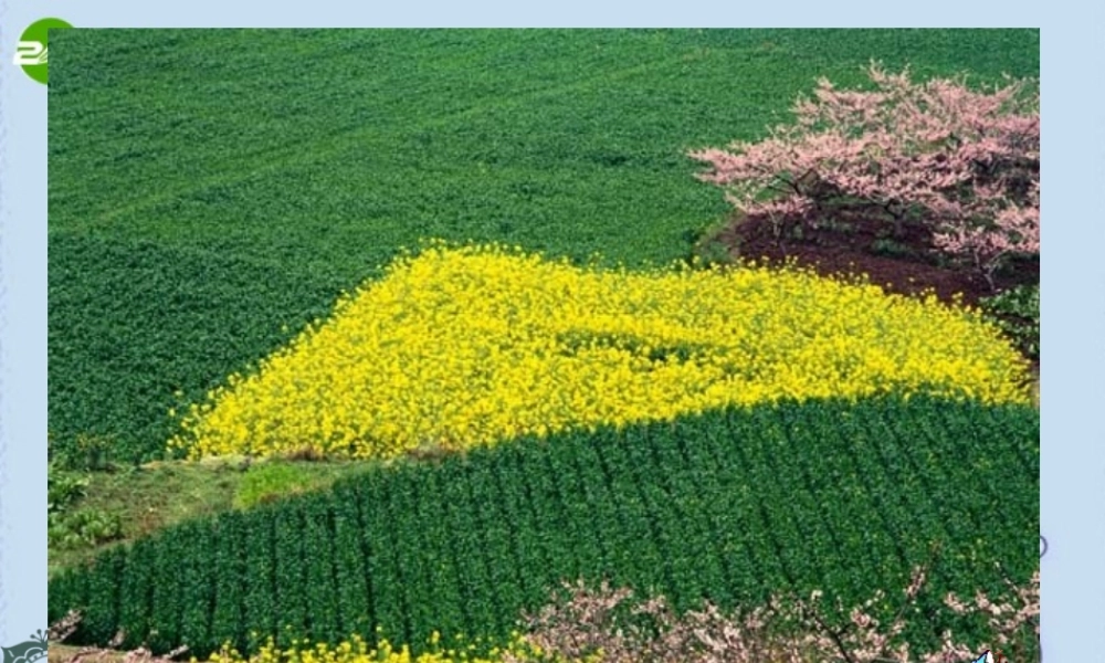 七年级语文上册 9.春 课件 语文版 课件