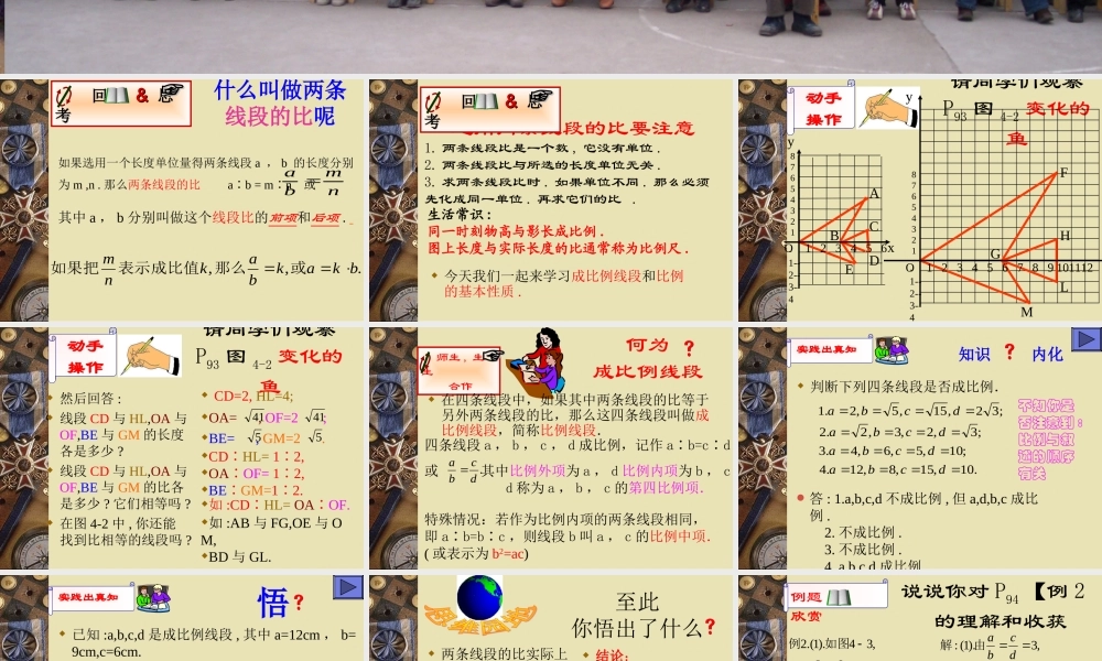 八年级数学线段的比课件1鲁教版 课件