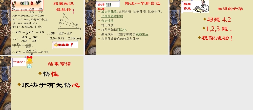 八年级数学线段的比课件1鲁教版 课件