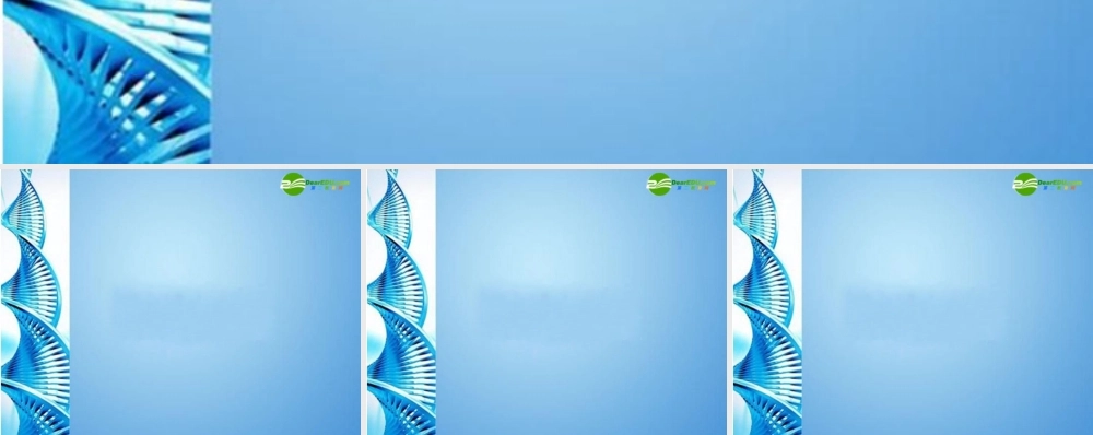 九年级物理上册 压力与压强课件 人教新课标版 课件