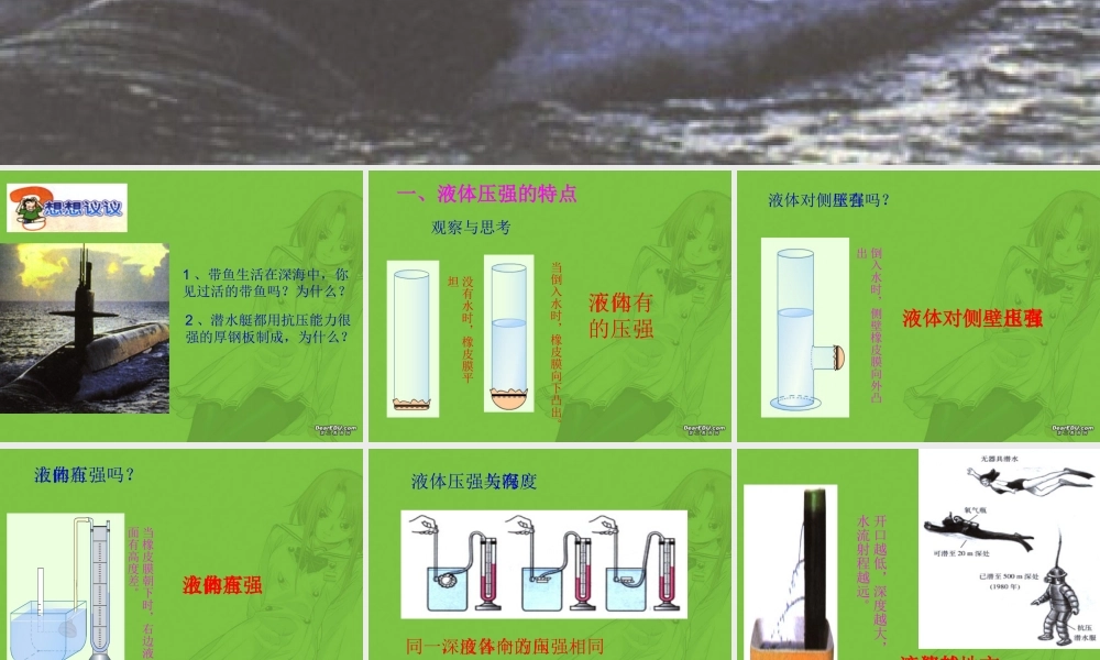 初三物理液体的压课件 人教版 课件