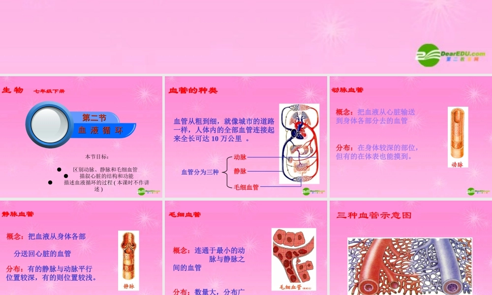 七年级生物 血液循环课件 苏教版 课件