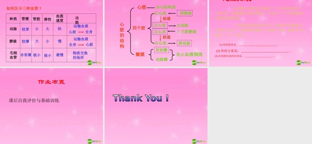 七年级生物 血液循环课件 苏教版 课件