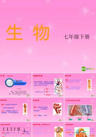 七年级生物 血液循环课件 苏教版 课件