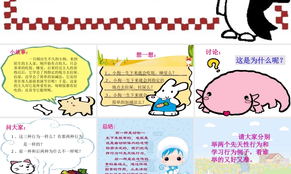 八年级生物新人教版先天性行为和学习行为ppt 课件