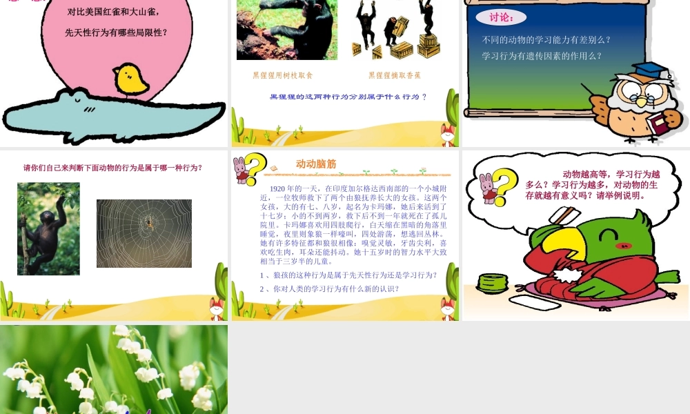 八年级生物新人教版先天性行为和学习行为ppt 课件