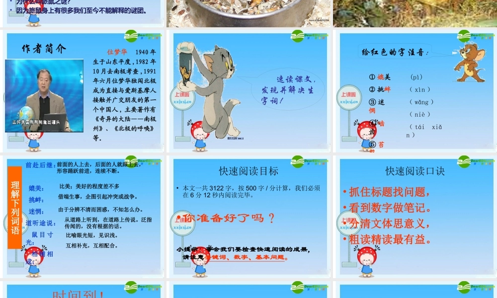 八年级语文下册 (旅鼠之谜)教学课件 人教新课标版 课件
