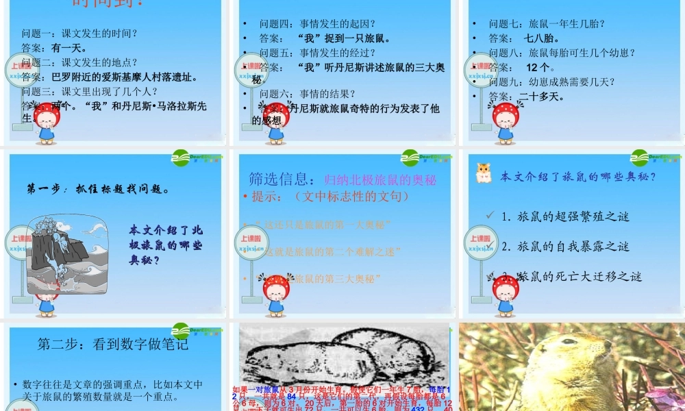 八年级语文下册 (旅鼠之谜)教学课件 人教新课标版 课件
