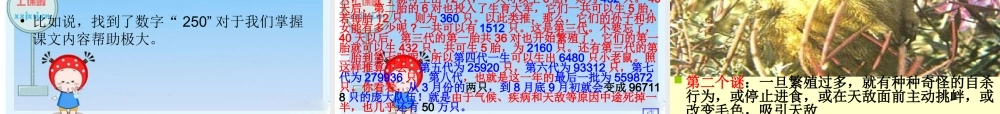 八年级语文下册 (旅鼠之谜)教学课件 人教新课标版 课件