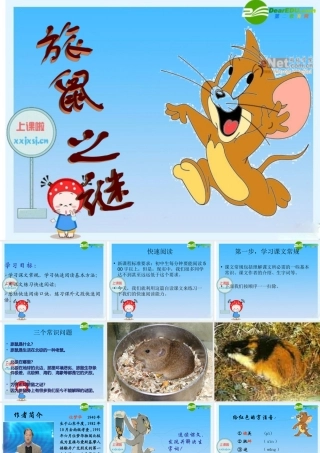 八年级语文下册 (旅鼠之谜)教学课件 人教新课标版 课件