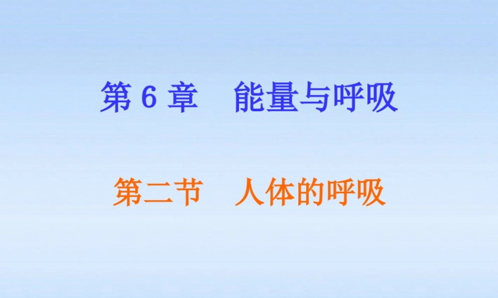 七年级生物上册 第六章能量与呼吸第2节人体的呼吸课件 苏科版 课件