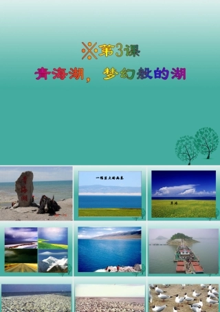 八年级语文上册 第3课(青海湖，梦幻般的湖)课件 (新版)语文版 课件